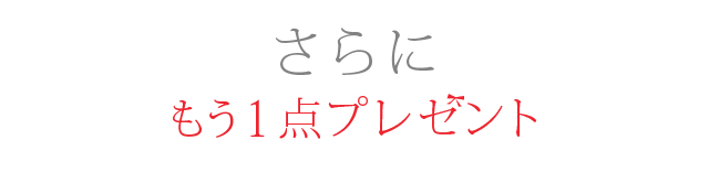 さらにもう１点プレゼント